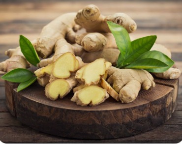 জানজাবিল (আদা)